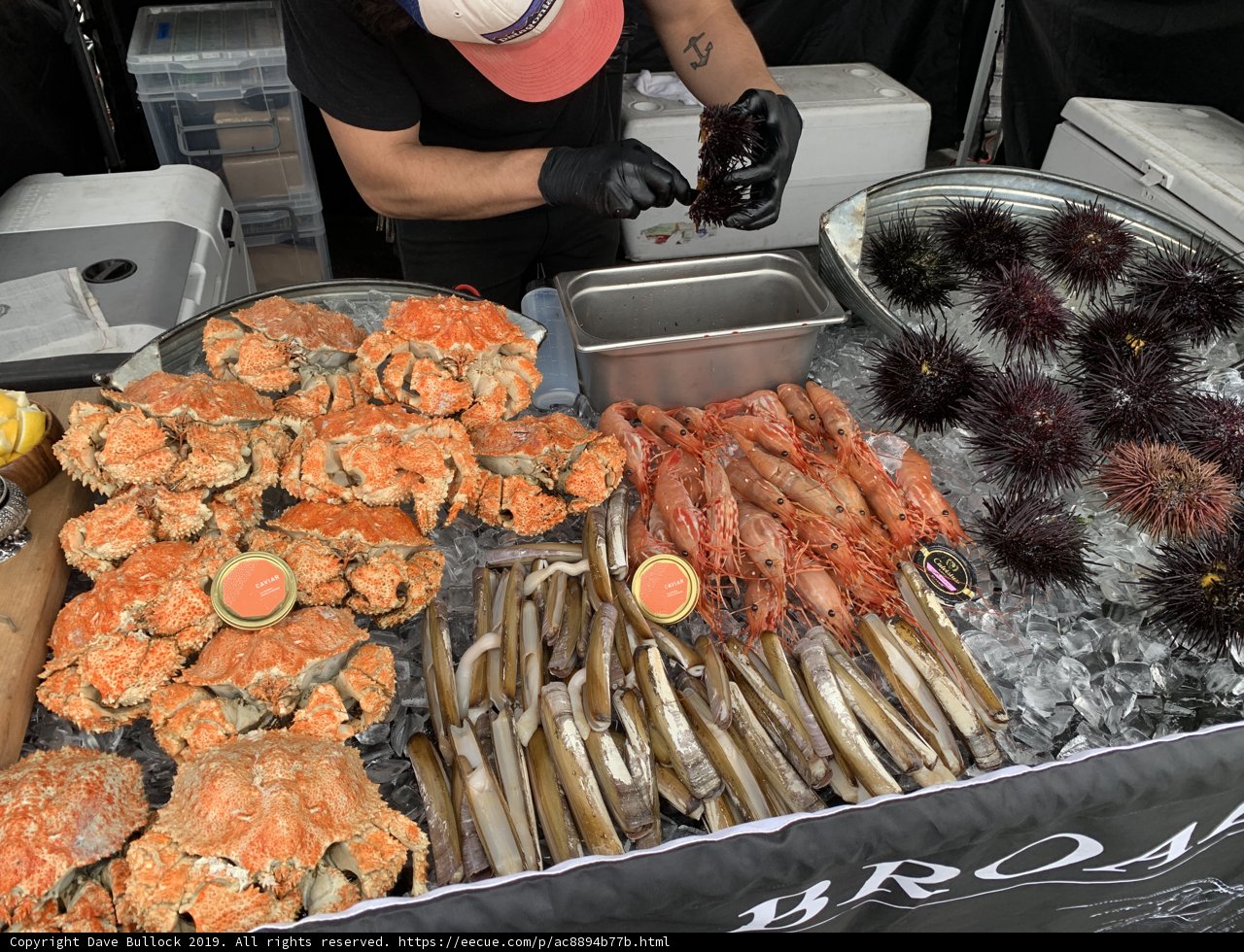 Seafood Prepper in Action