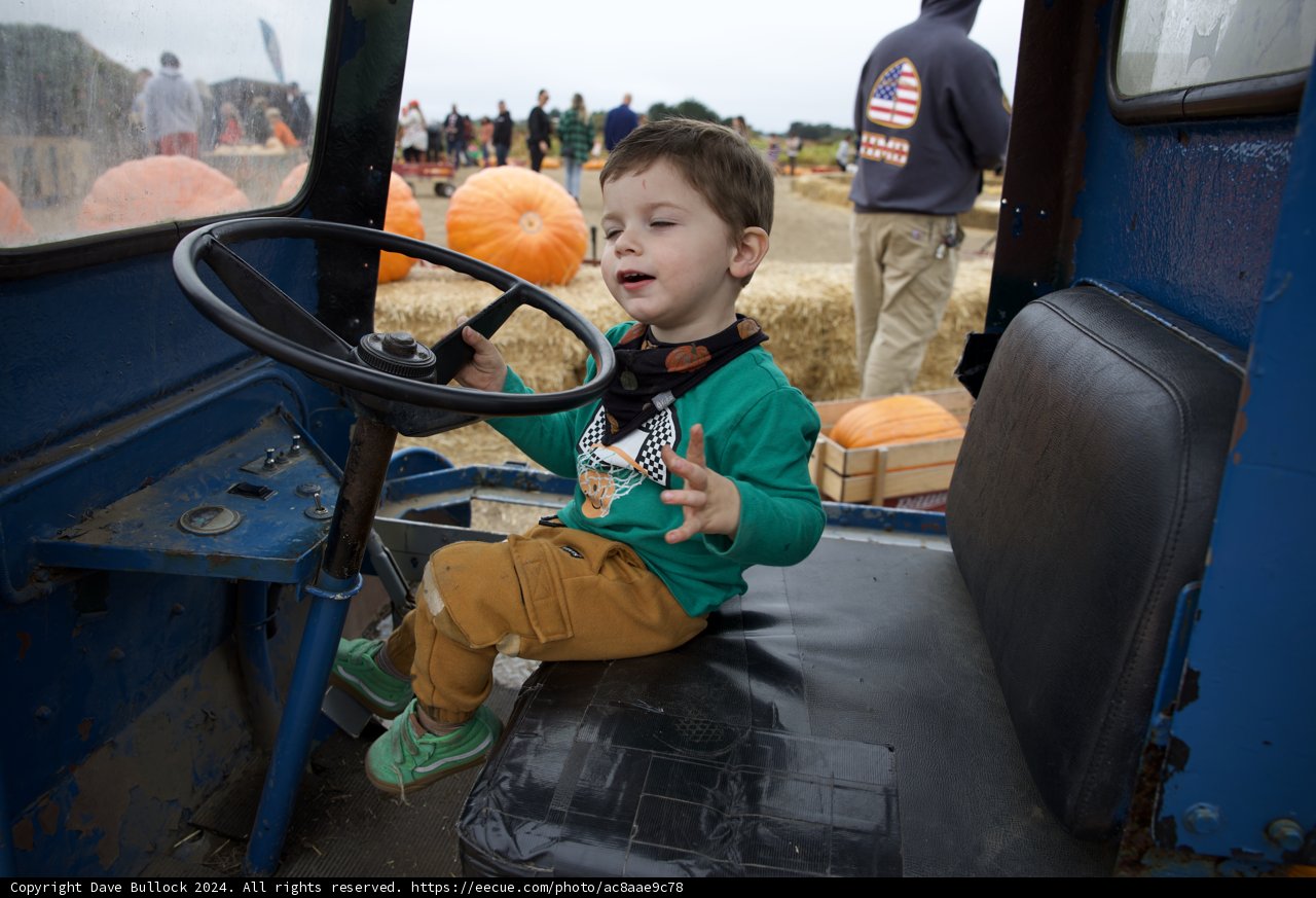 Pumpkin Patch Driver