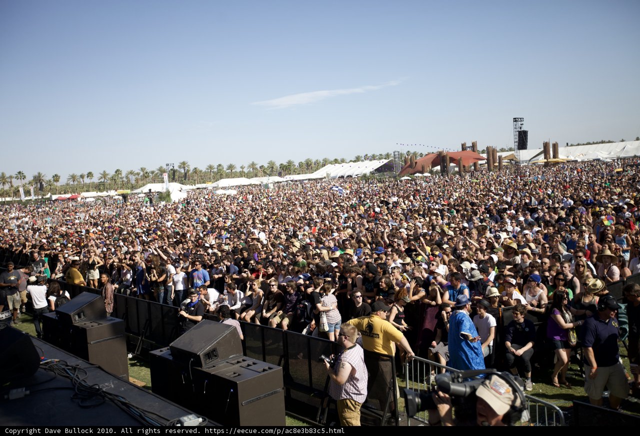 Music Festival Madness