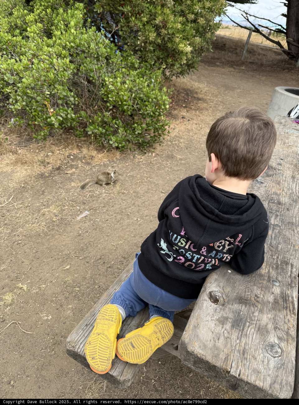 Curious Explorer in Cambria