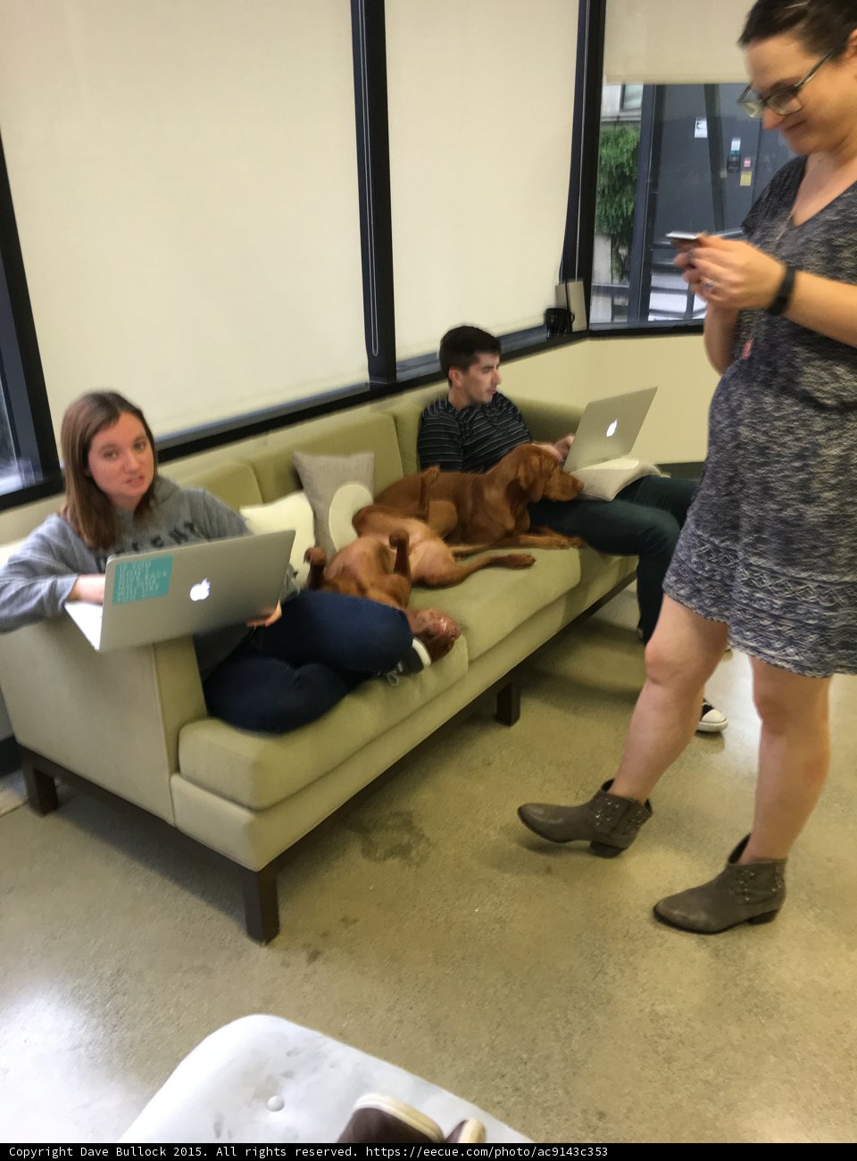 Relaxing with Dogs