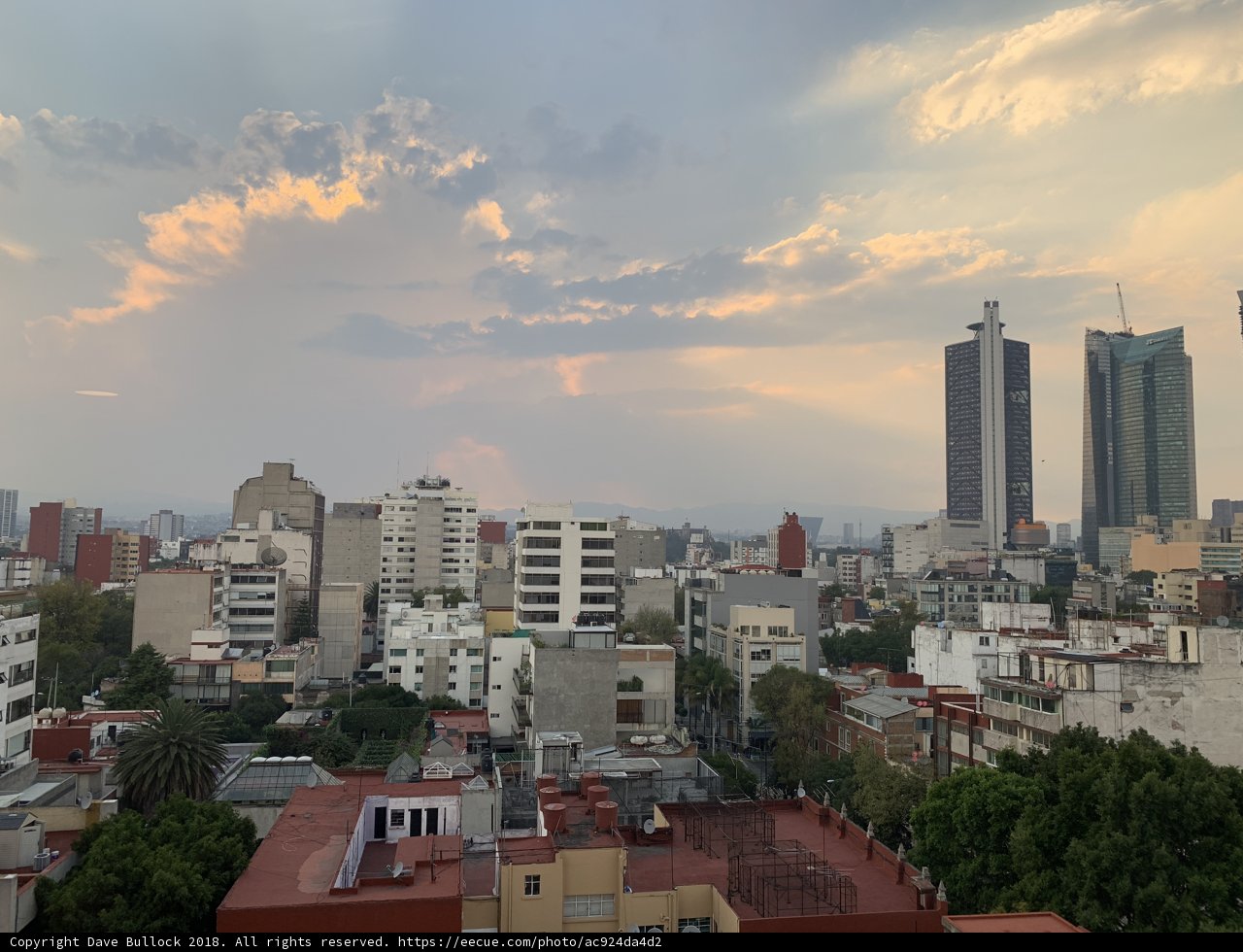 Rooftop View of the Urban Metropolis