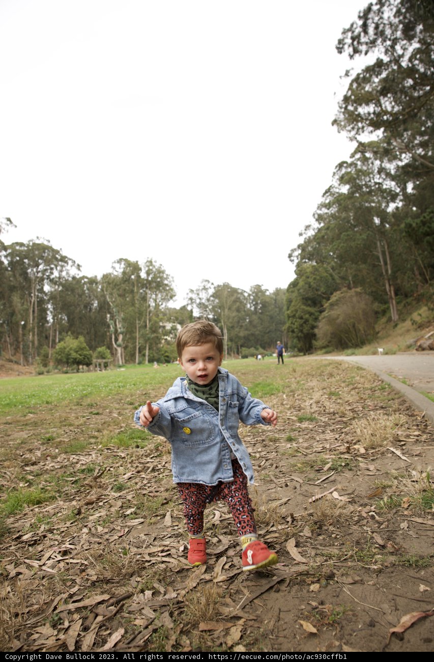 Sunny Adventure: Wesley's 5th Birthday at Pine Lake Park