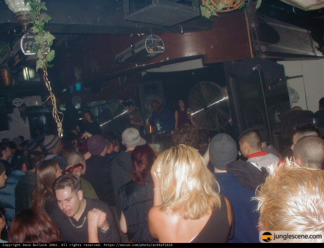 Nightlife Extravaganza