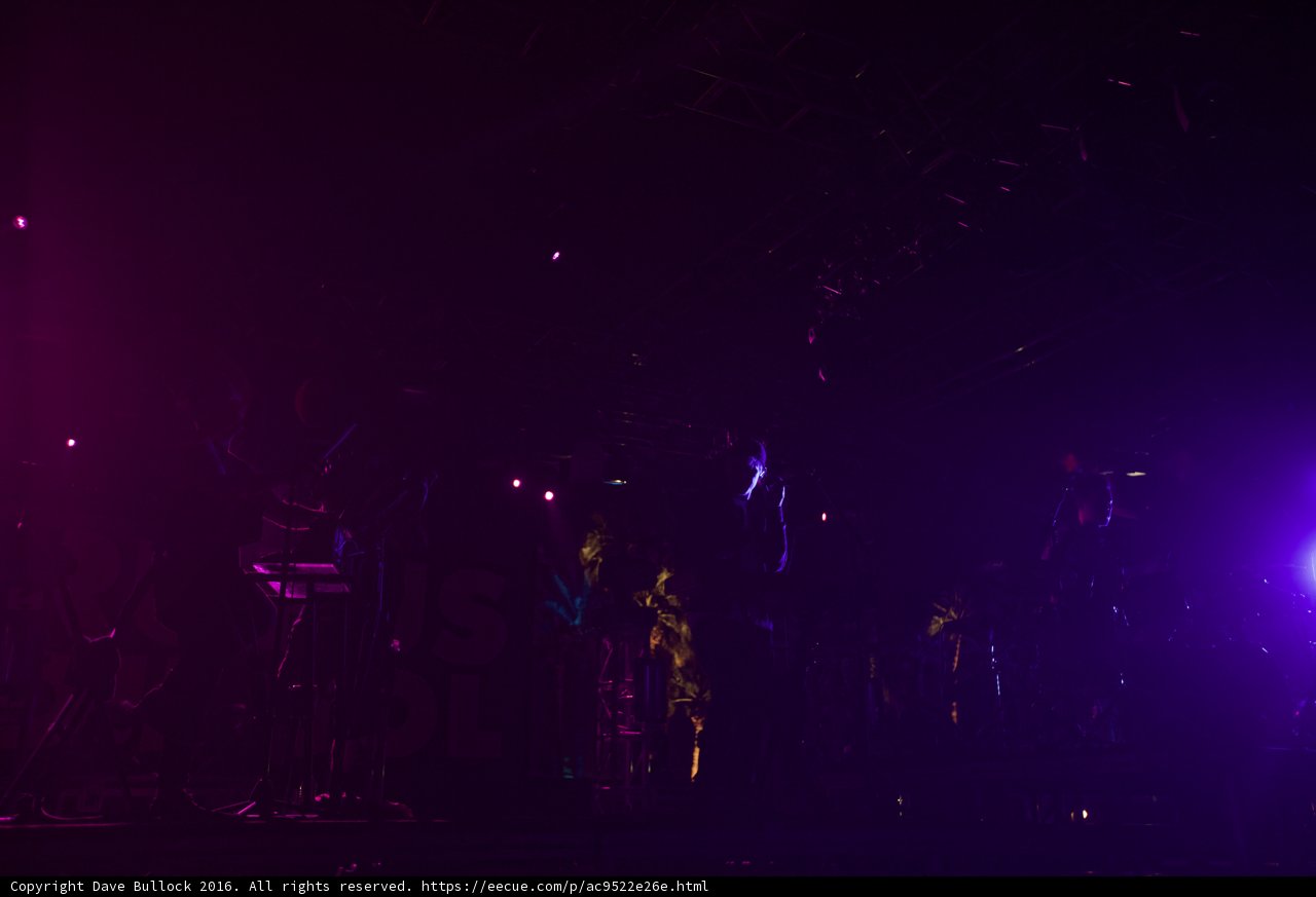 Electric Purple Concert
