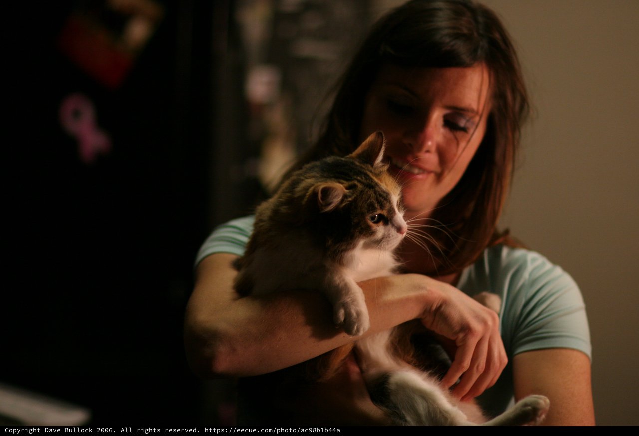 Woman Tenderly Holds Tabby Cat in Dim Light