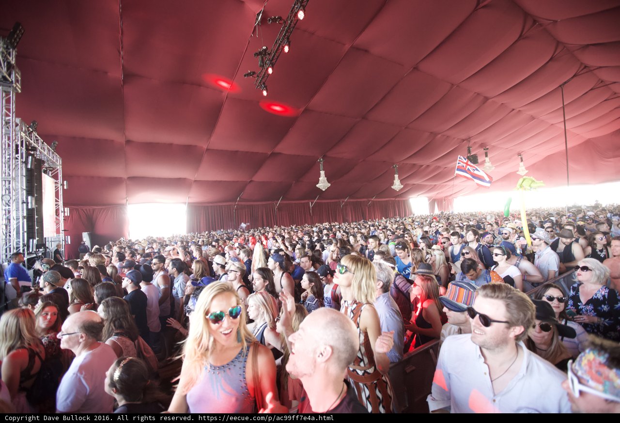 Vibrant Crowd at Coachella Music Festival
