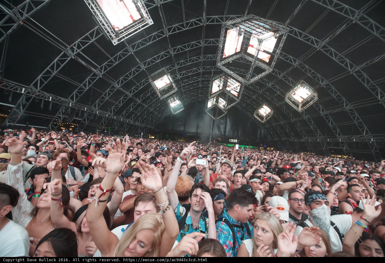Electric Vibes at Coachella