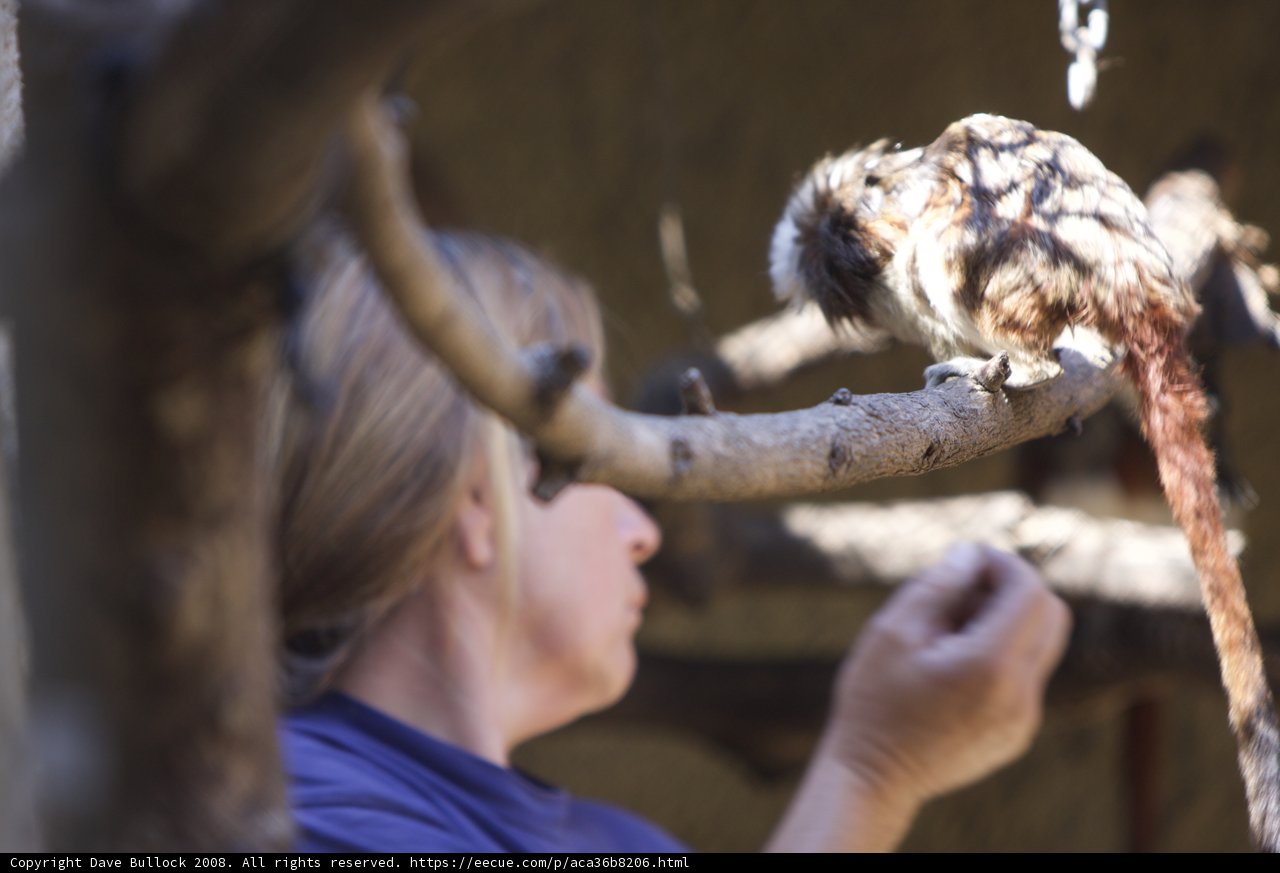 A woman holding a bird at the zoo