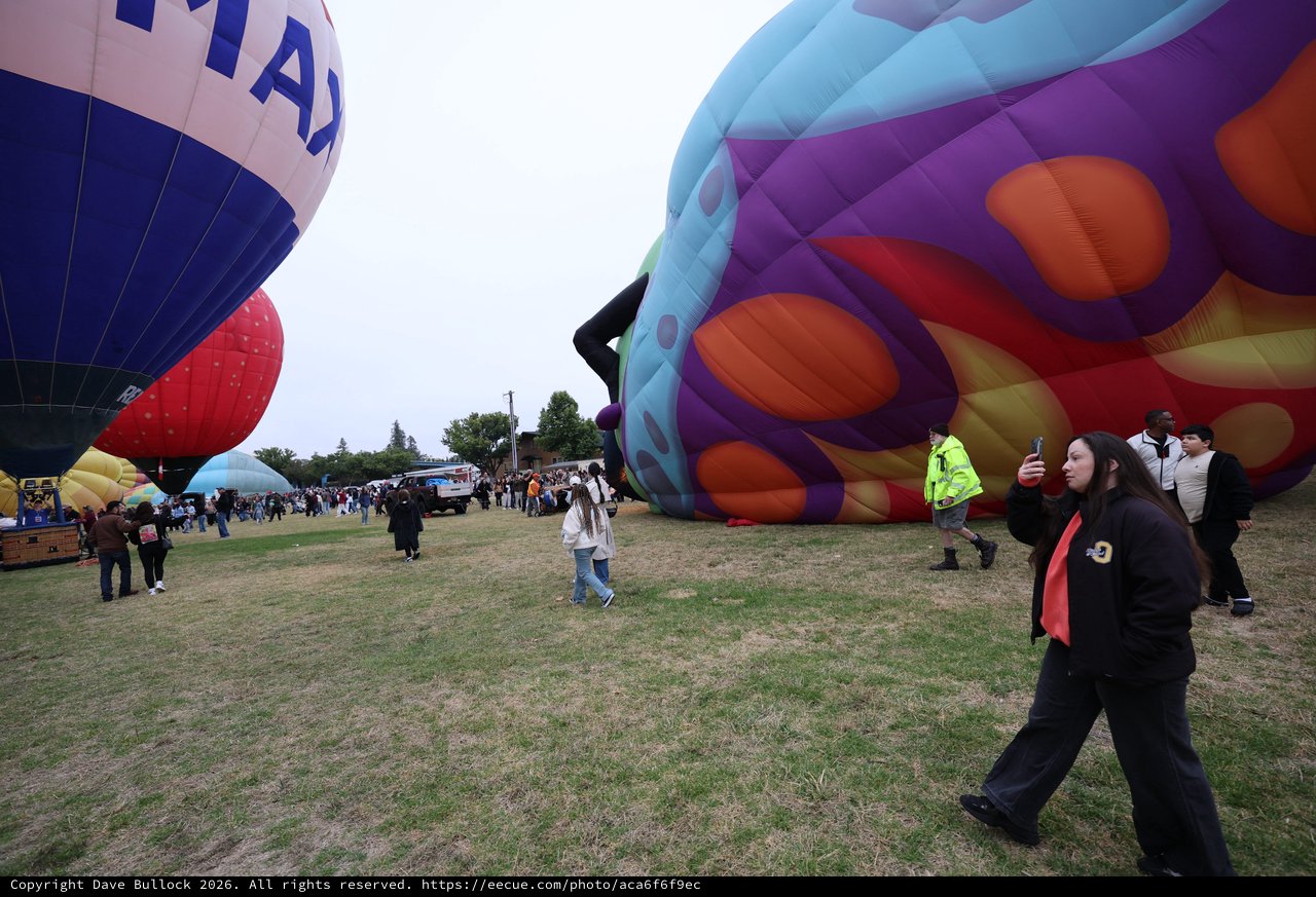 Hot Air Balloons Inflate at Sonoma County Classic