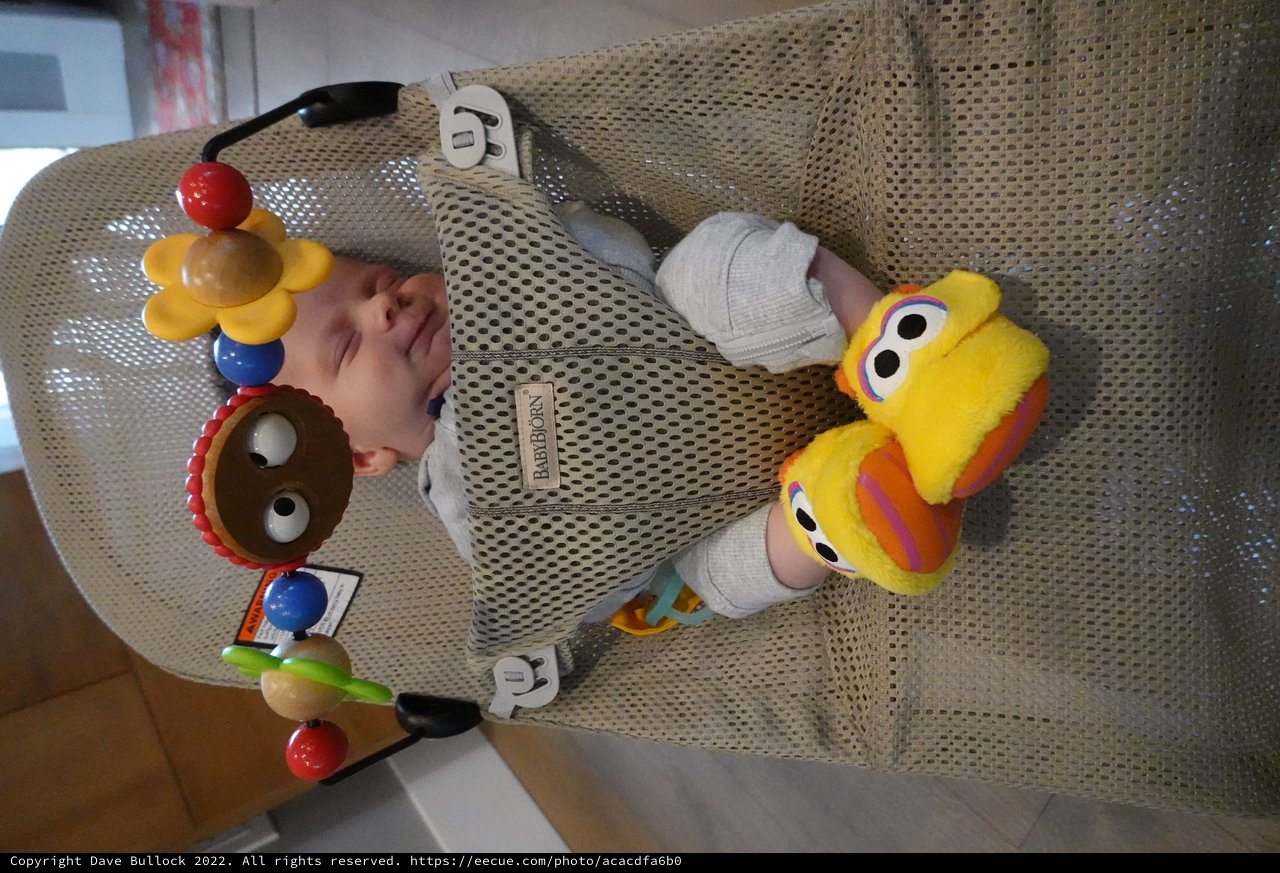 Baby Wesley Playing in Mesh Bouncy Seat