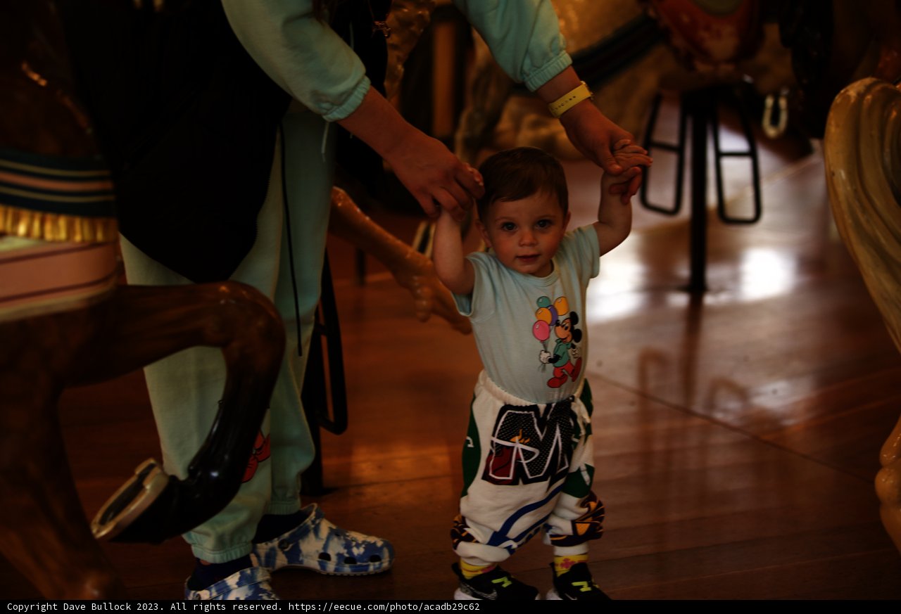 A Joyful Carousel Moment