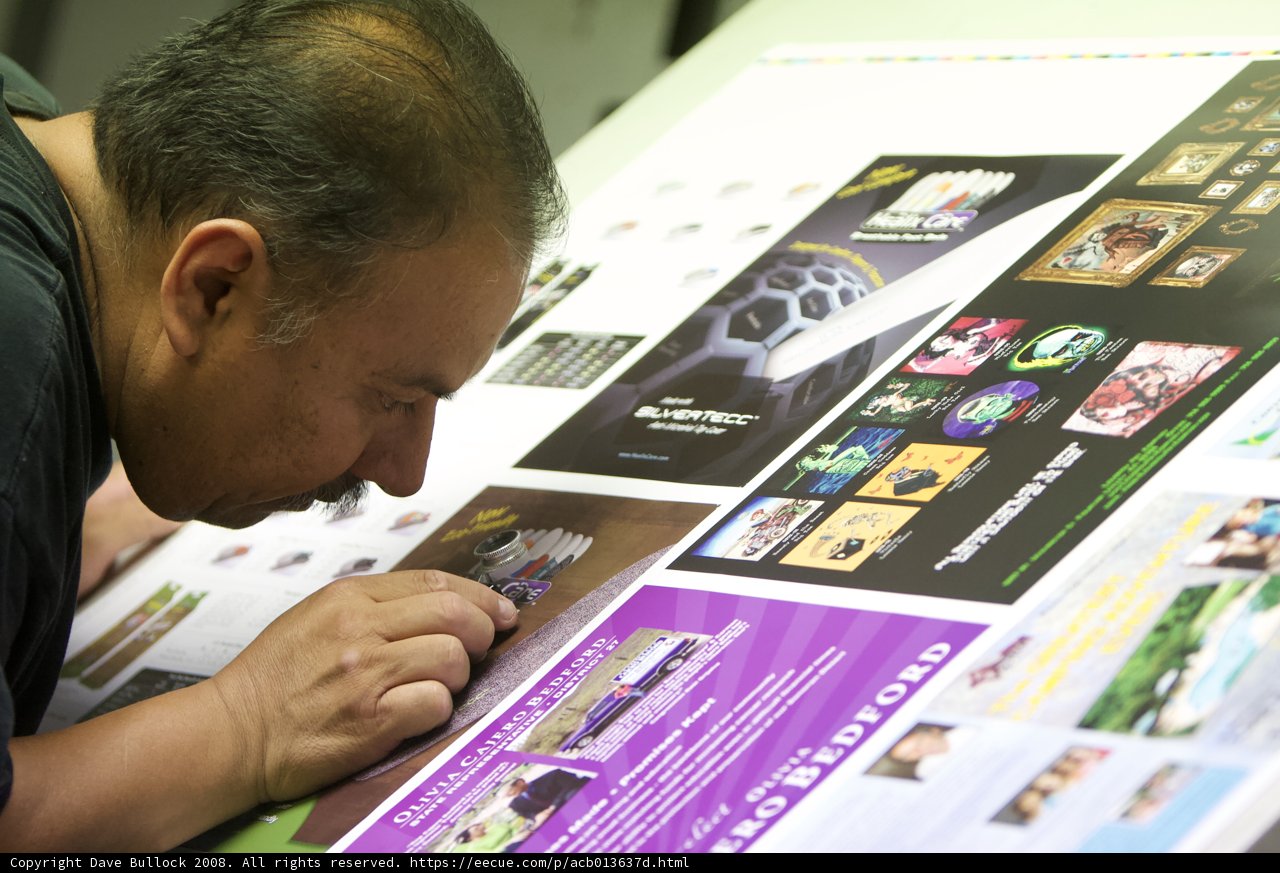 Analyzing the Advertisement