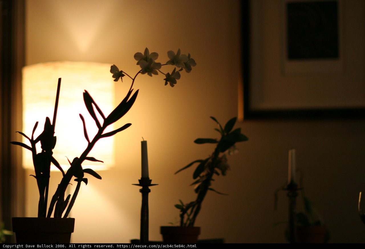 Floral and Candlelight Delights