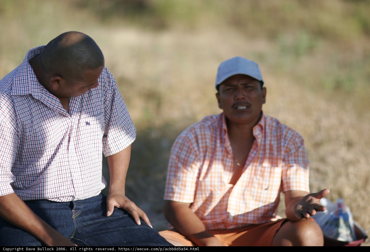Two Men Enjoying a Sunny Afternoon