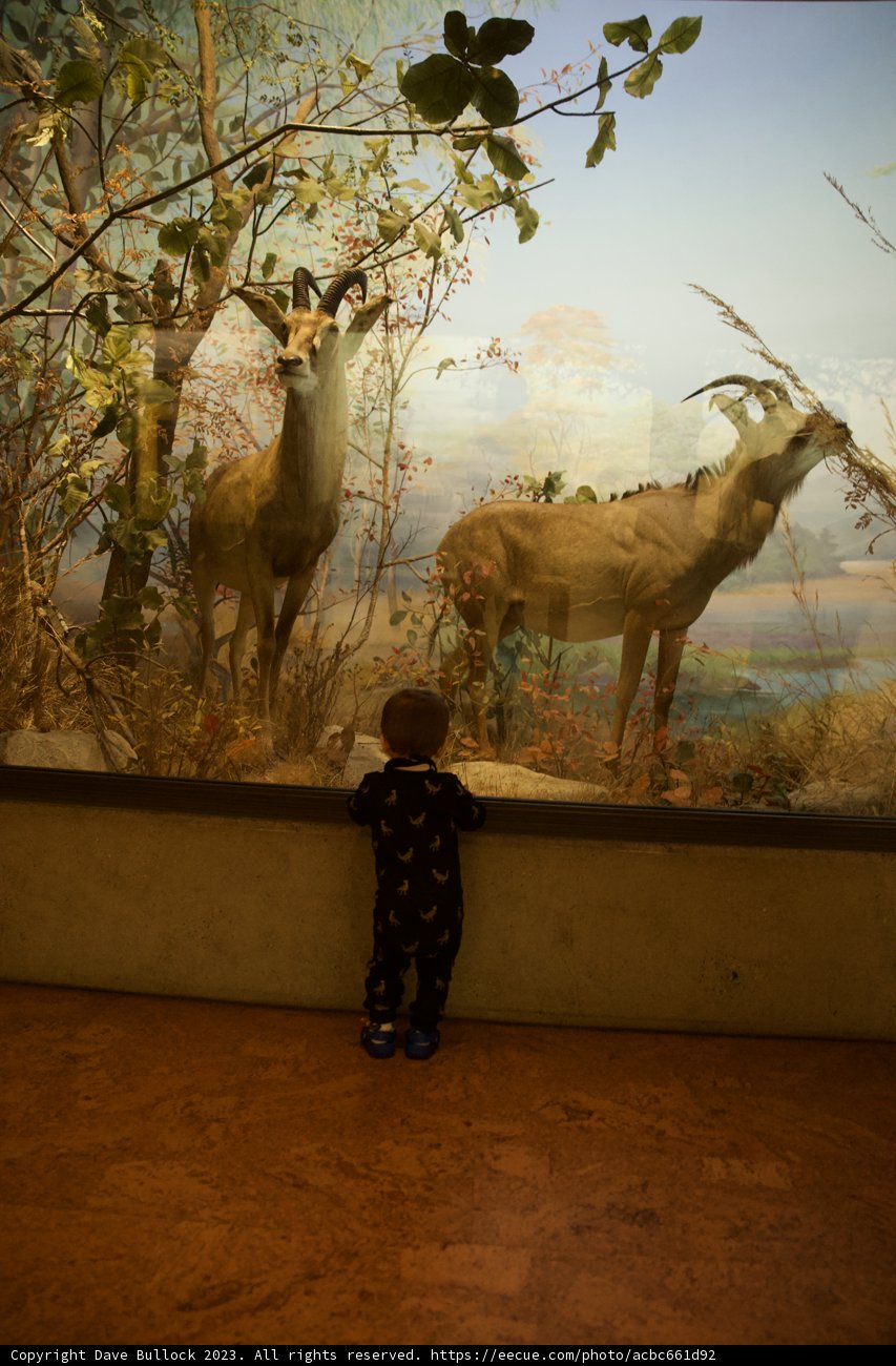Young Curiosity Meets Nature's Art