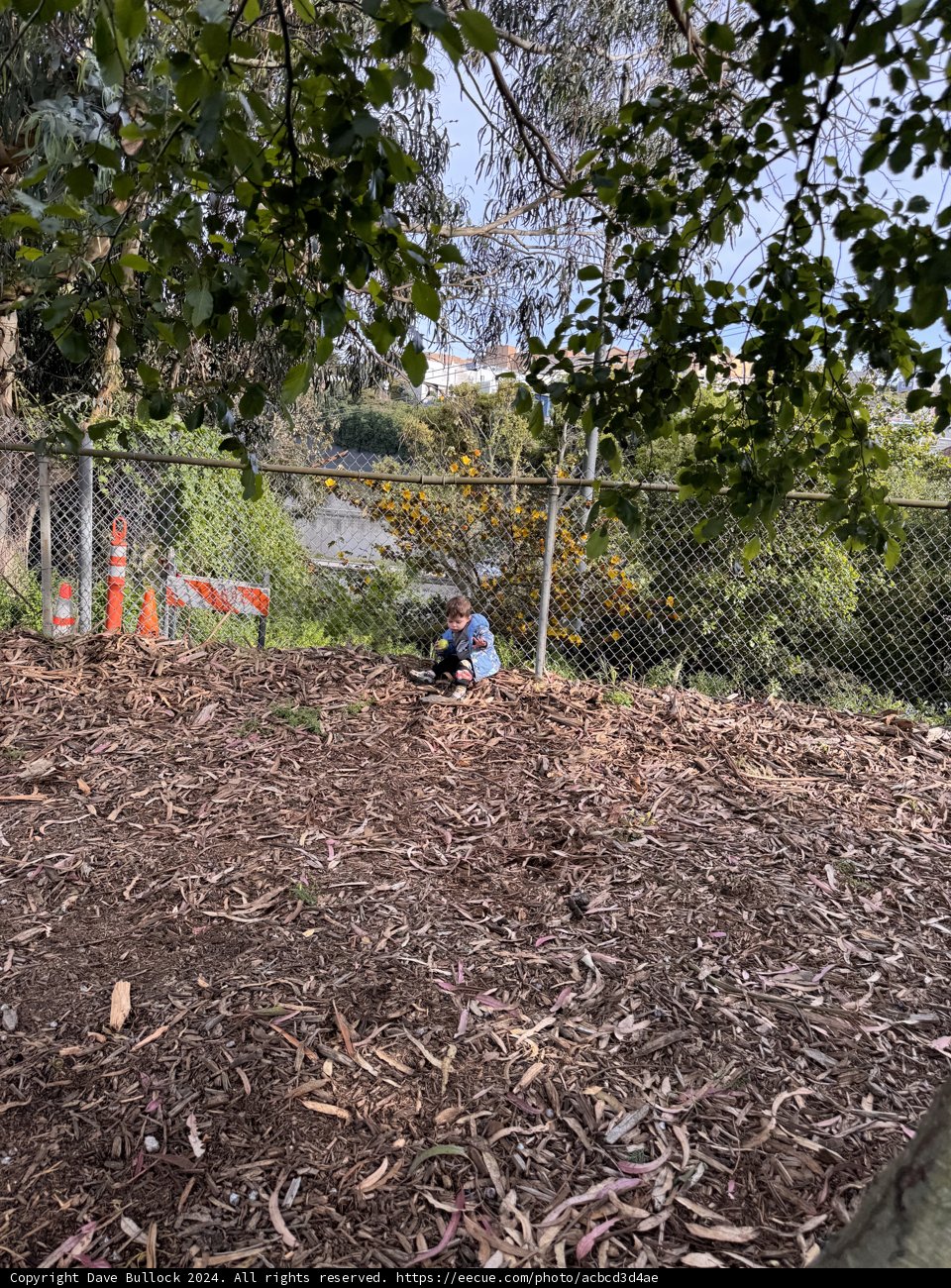 Springtime Play in Nature
