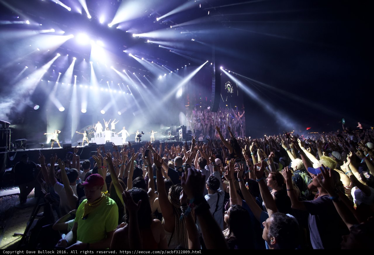 Bright Lights and Rhythmic Nights