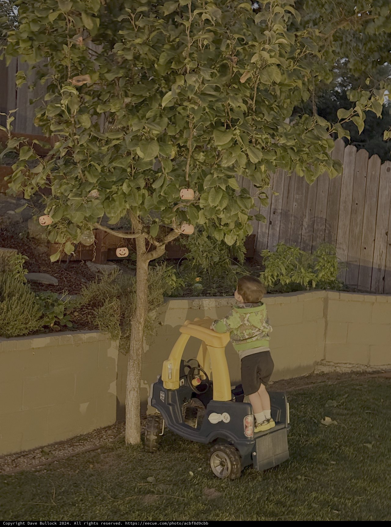 Halloween Decorated Backyard with Toy Truck