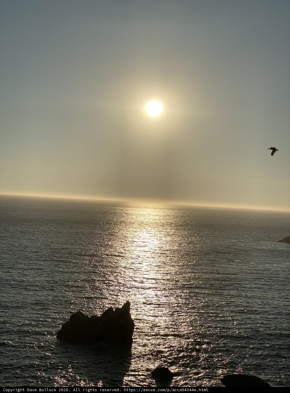 Sunset Flight