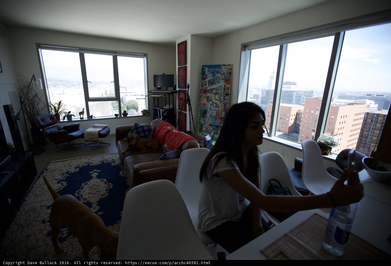 Cozy Afternoon with Furry Friends