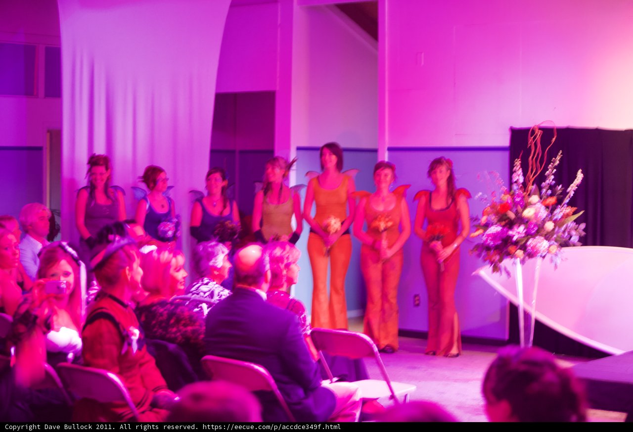 Colorful Crowd at the Wickstrom Wedding