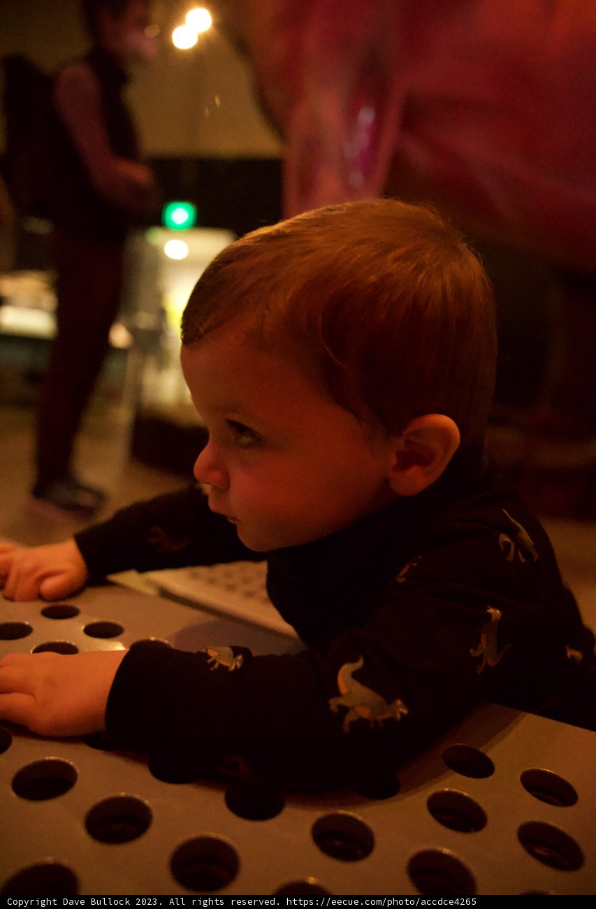 Discovery in Polka Dots - Wesley's Glimpse into the World of Art