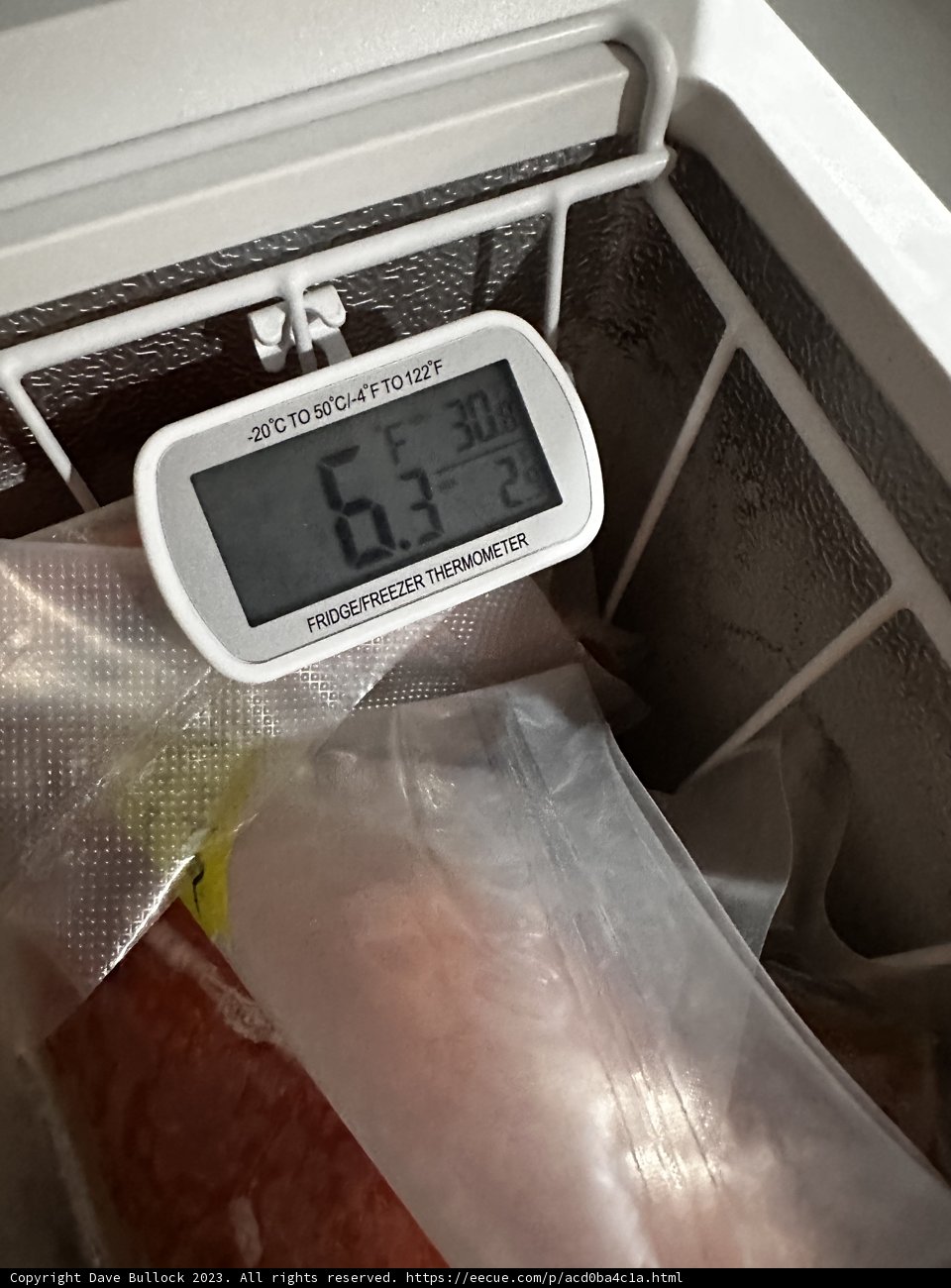 Digital Thermometer in the Freezer