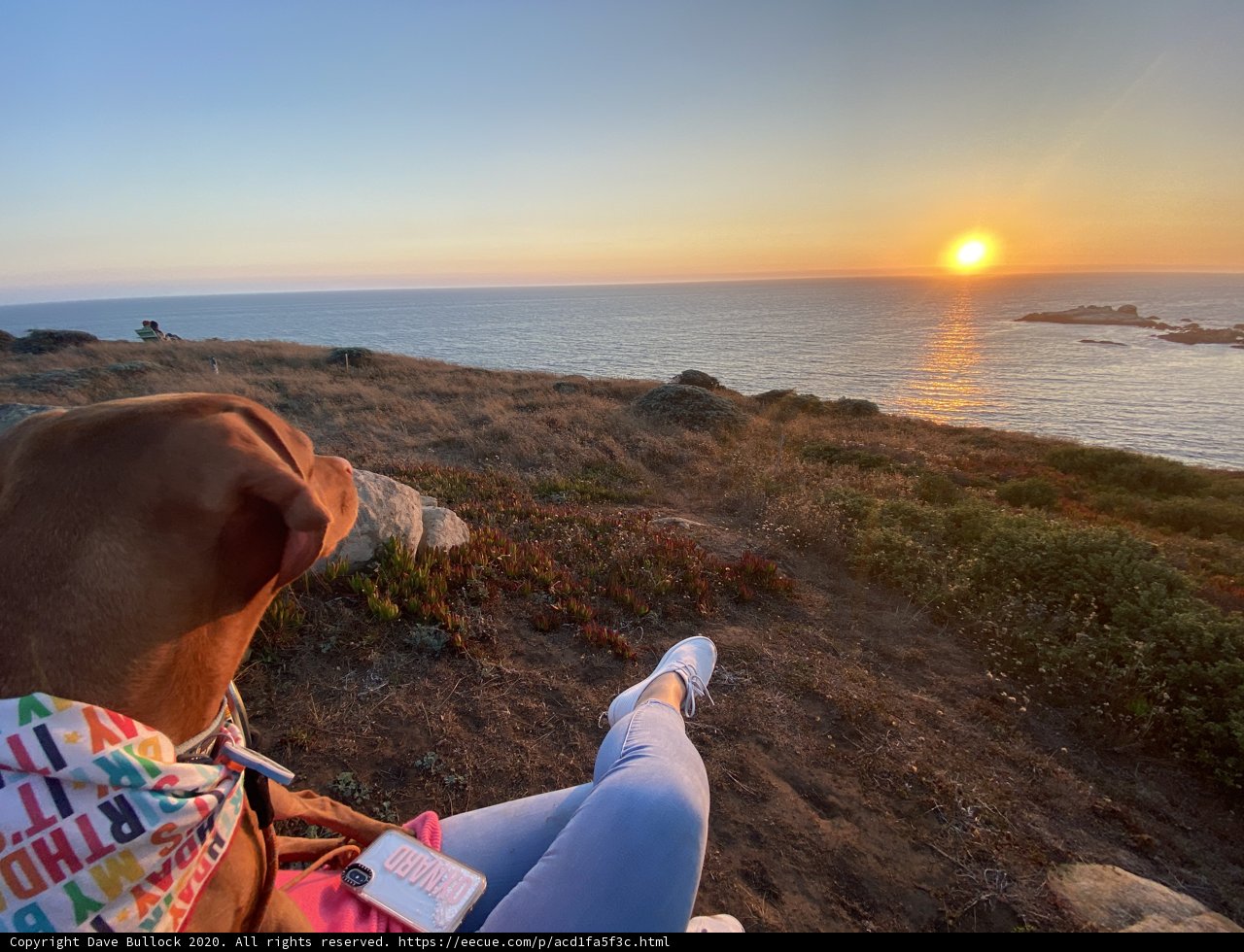 Sunset Watcher