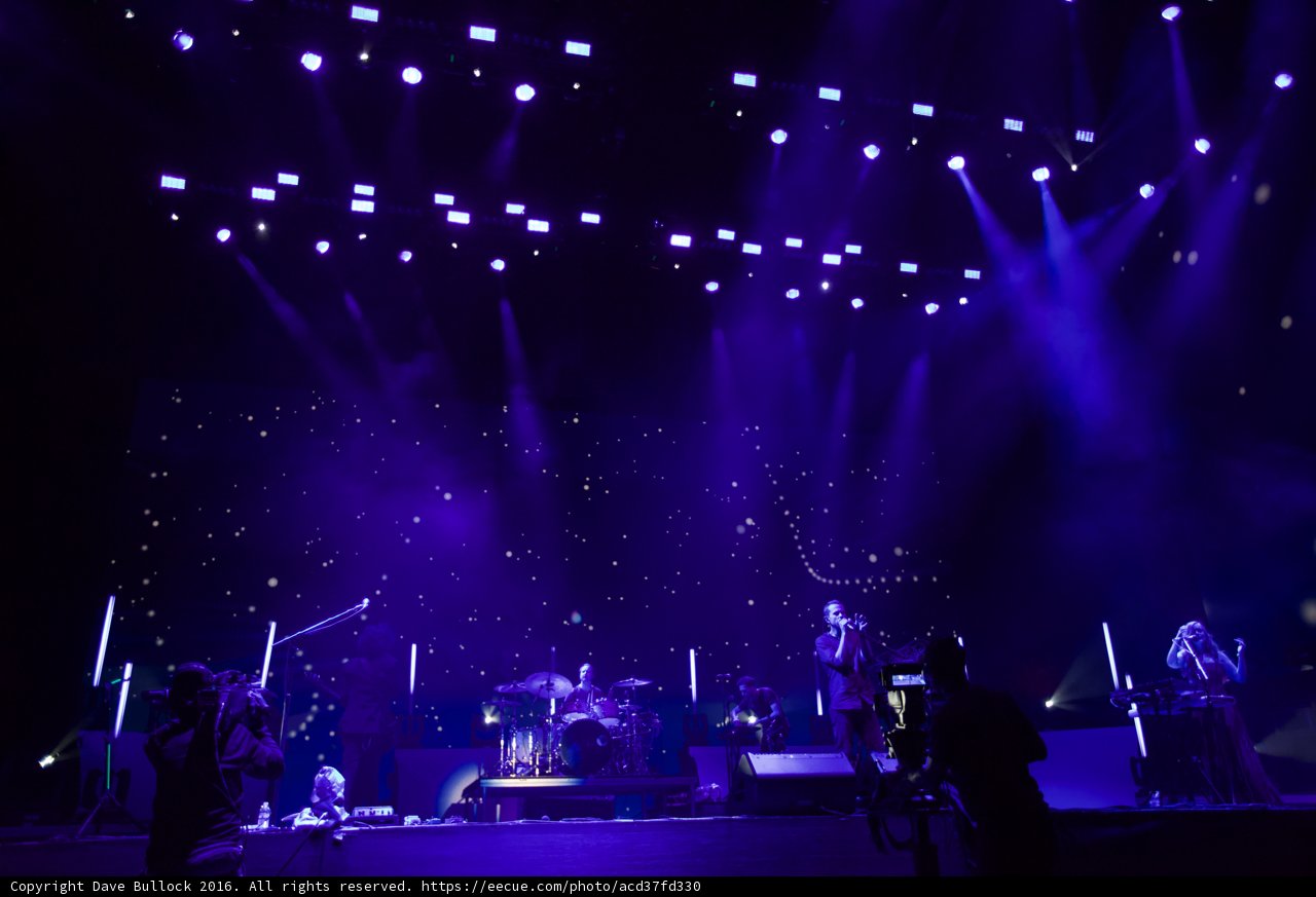 Purple Haze