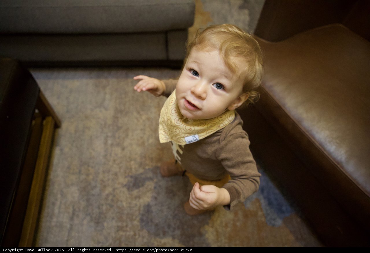 Curious Eyes in Carmel Valley