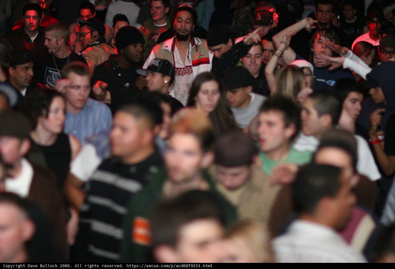 Bass Rush Party Crowd