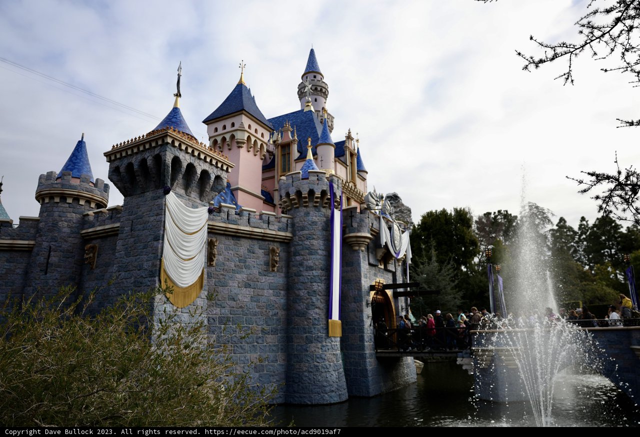 Disney's Majestic Castle and Fountain