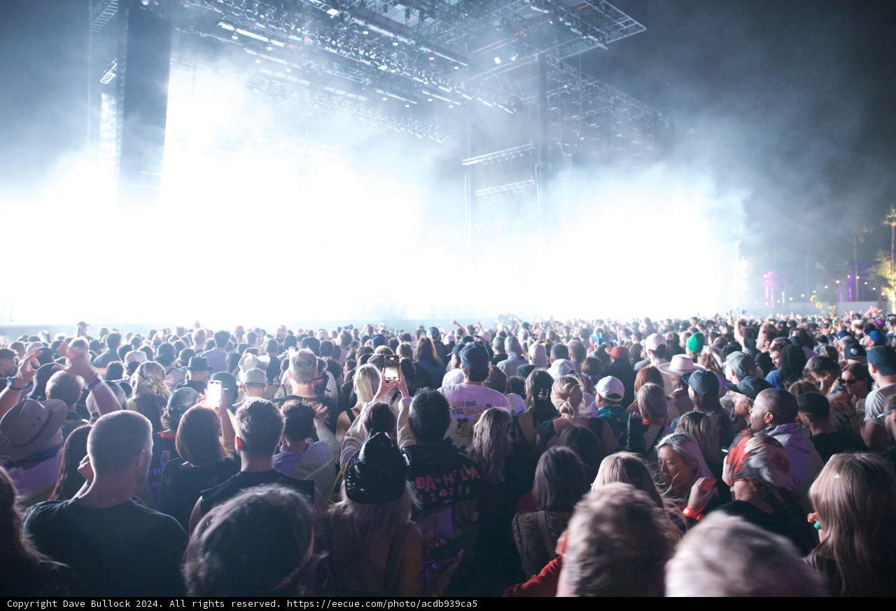 Electric Nights at Coachella 2024