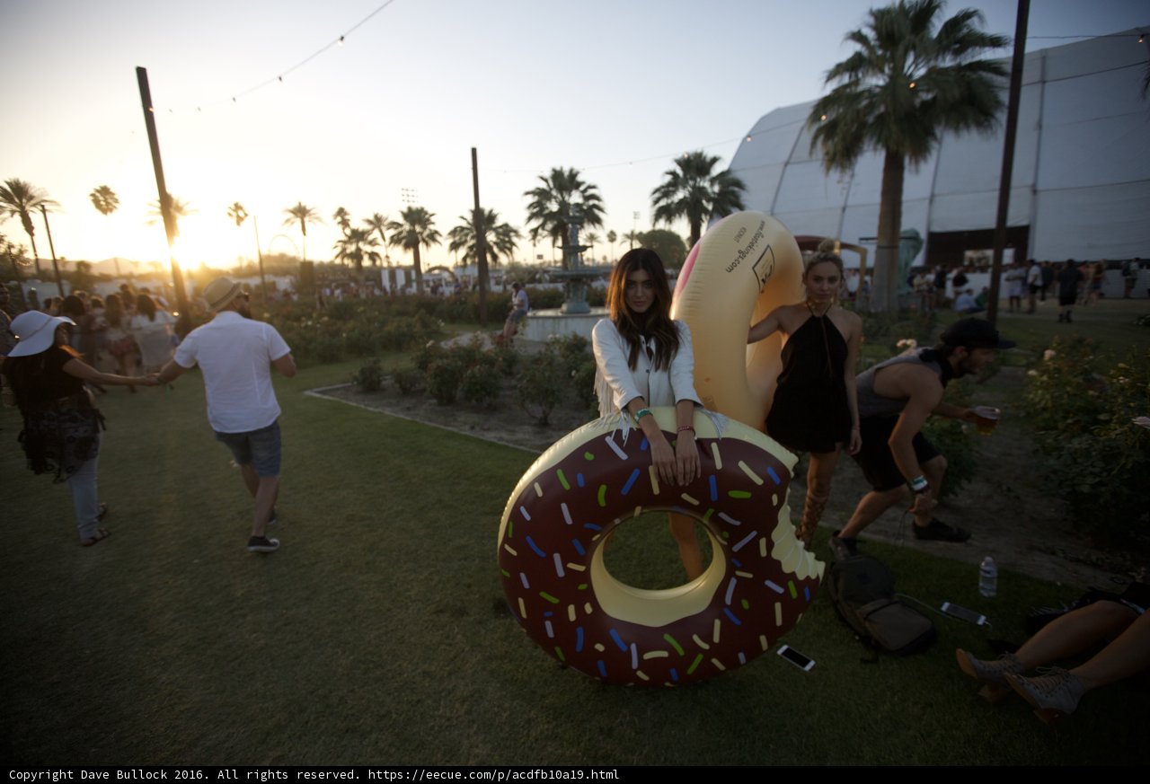 Donut Dreaming at Coachella