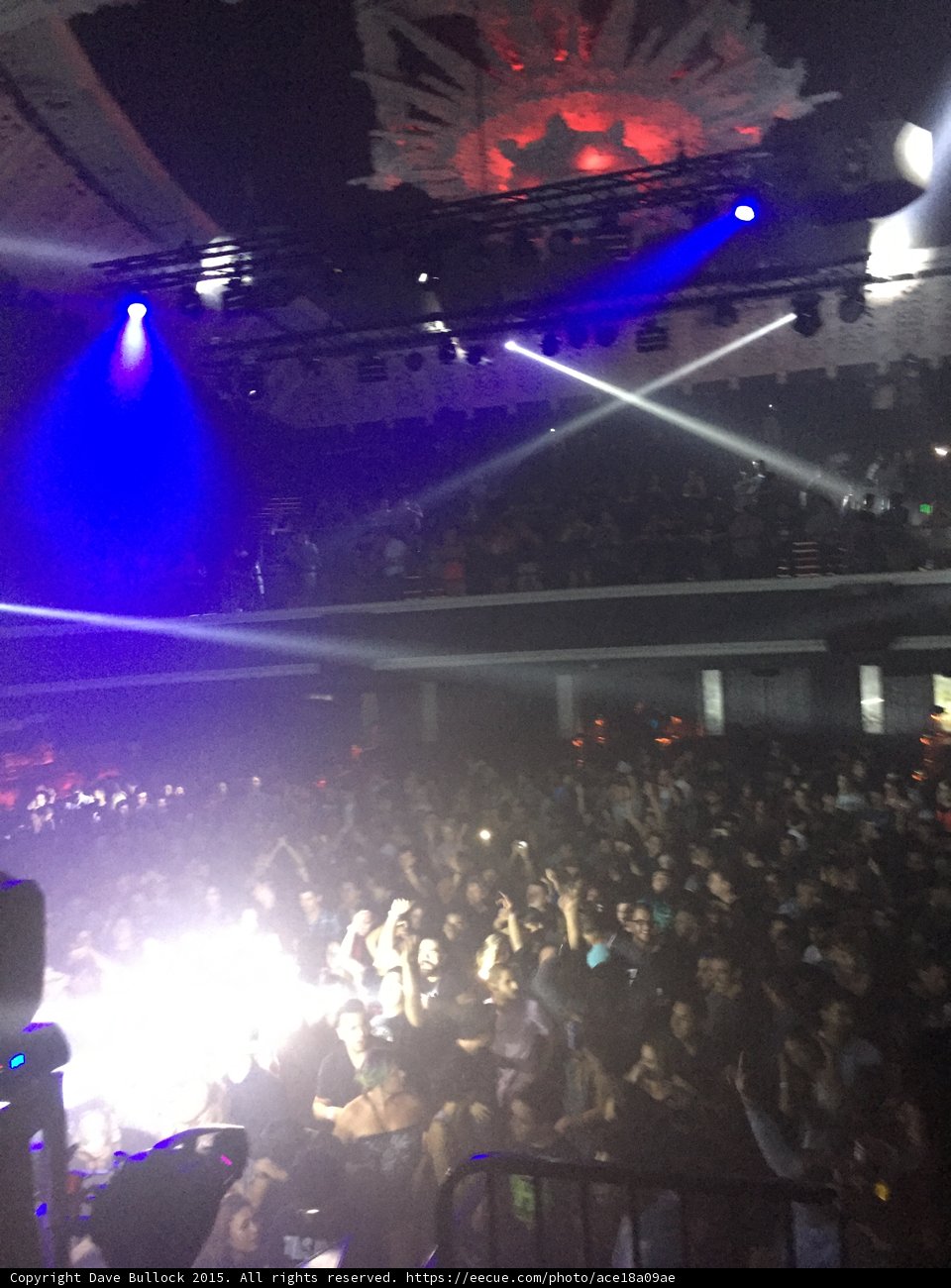 Electrifying Nightlife Performance