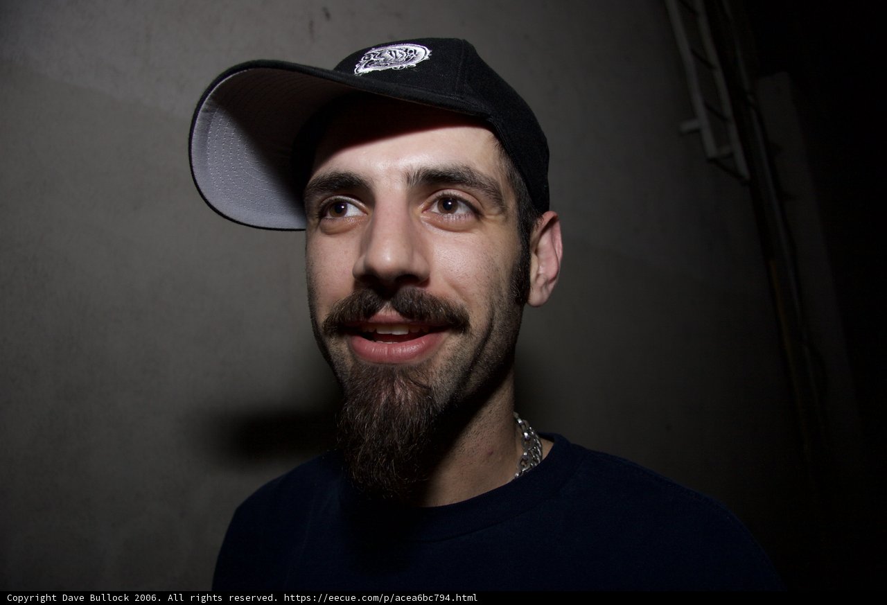 The Bearded Ballplayer
