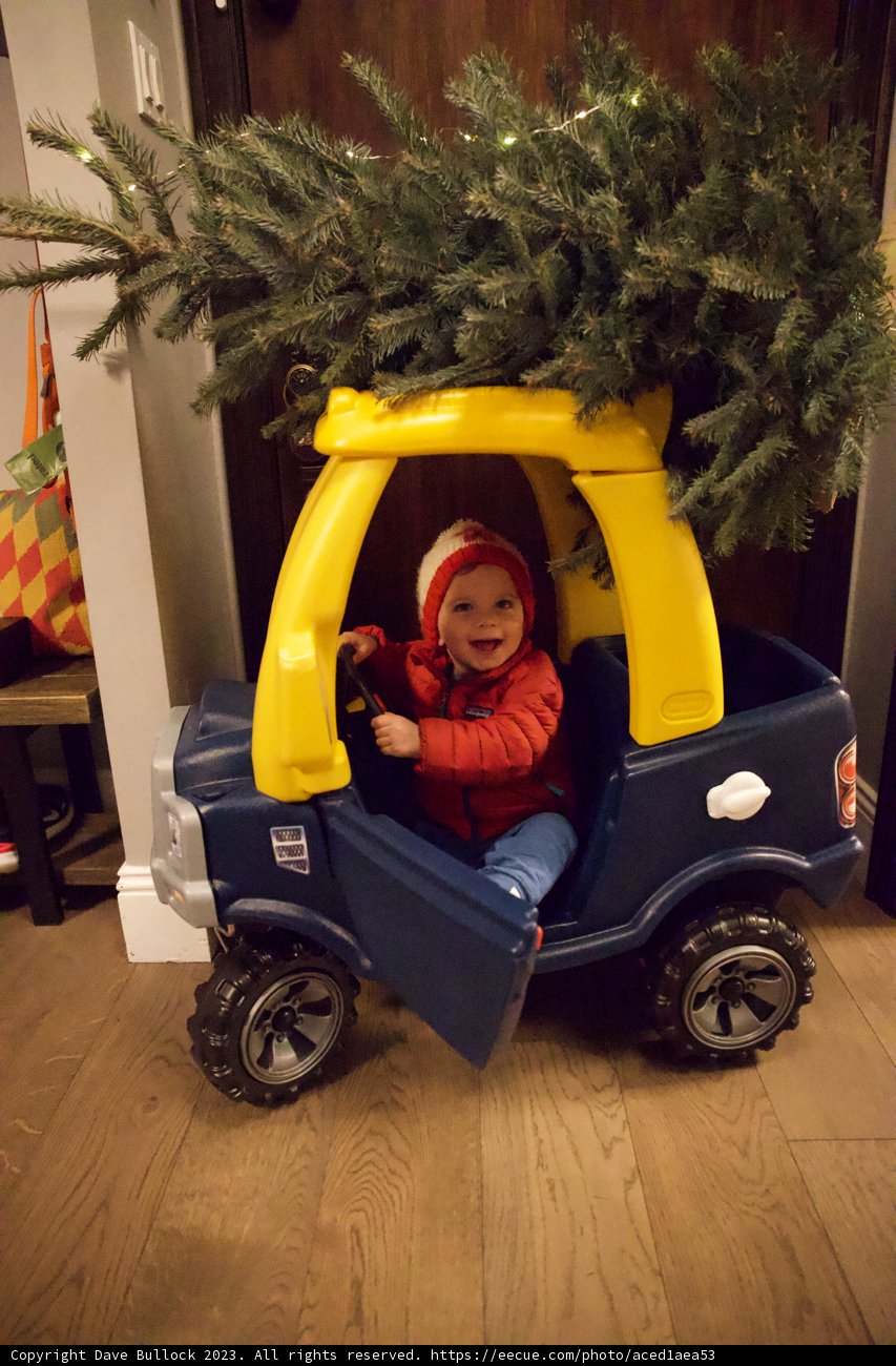 Wesley's Special Christmas Delivery