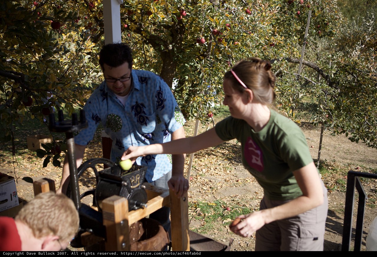 Apple Cider Pressing at the Orchard Harvest