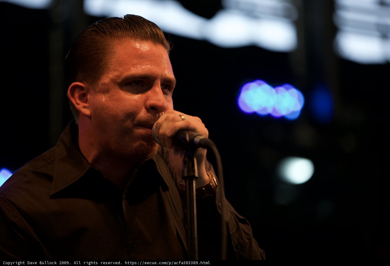 Black Shirt Serenade