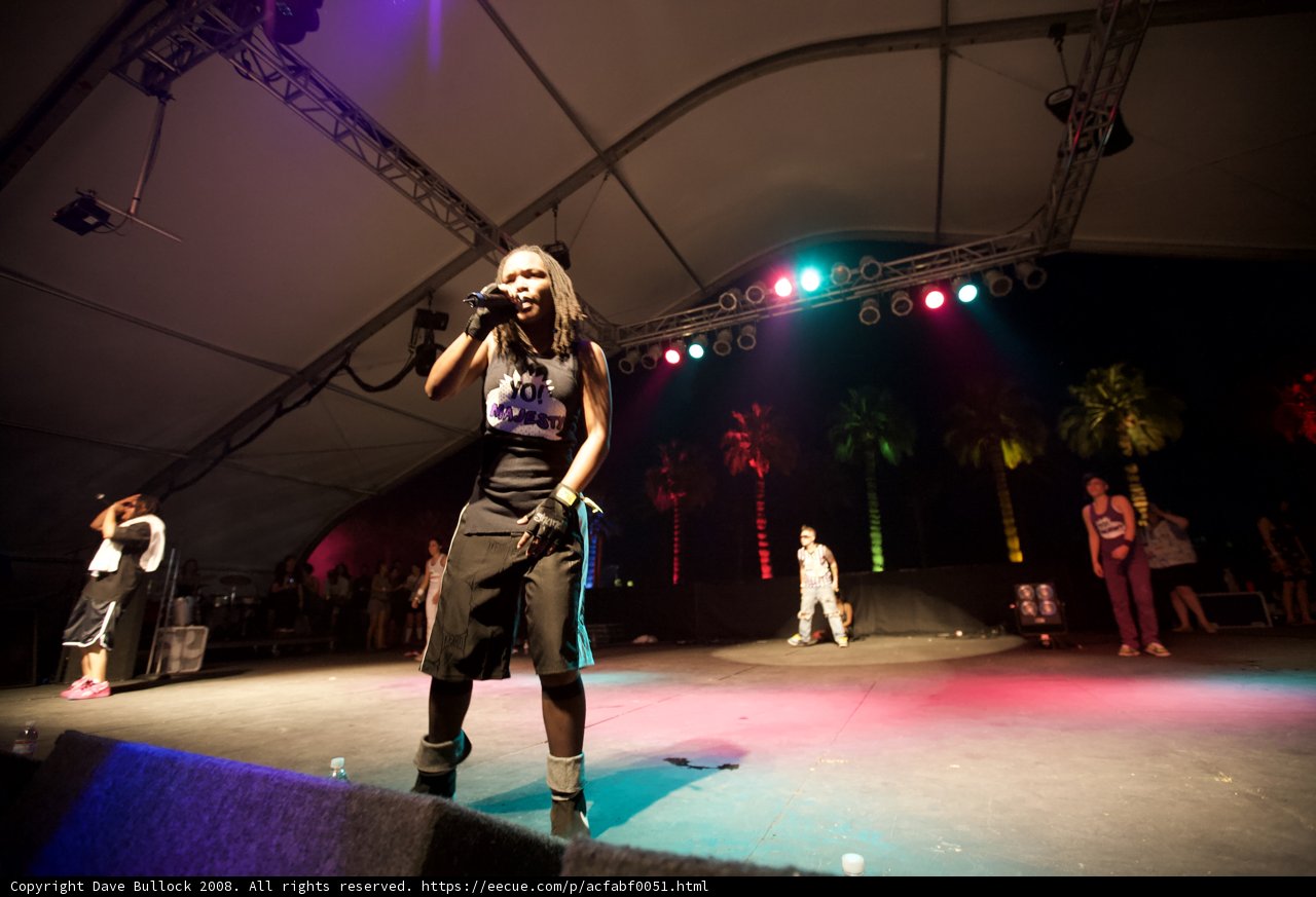 Sensational Solo: A Star Takes the Coachella Stage