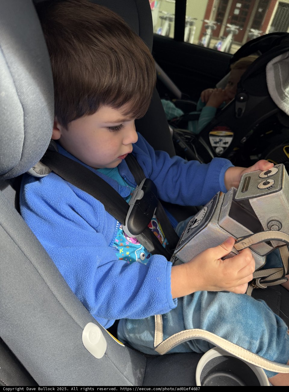 Little Explorer's Journey