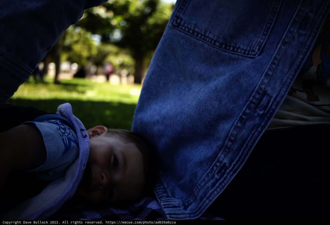 California Sunshine: Cozy Moments on the Grass