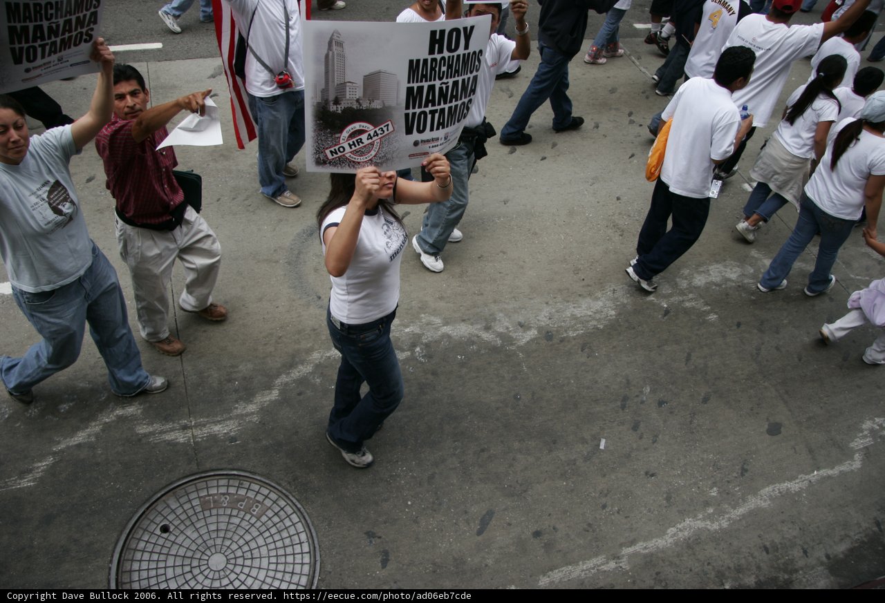 Woman Holds Protest Sign in City Parade