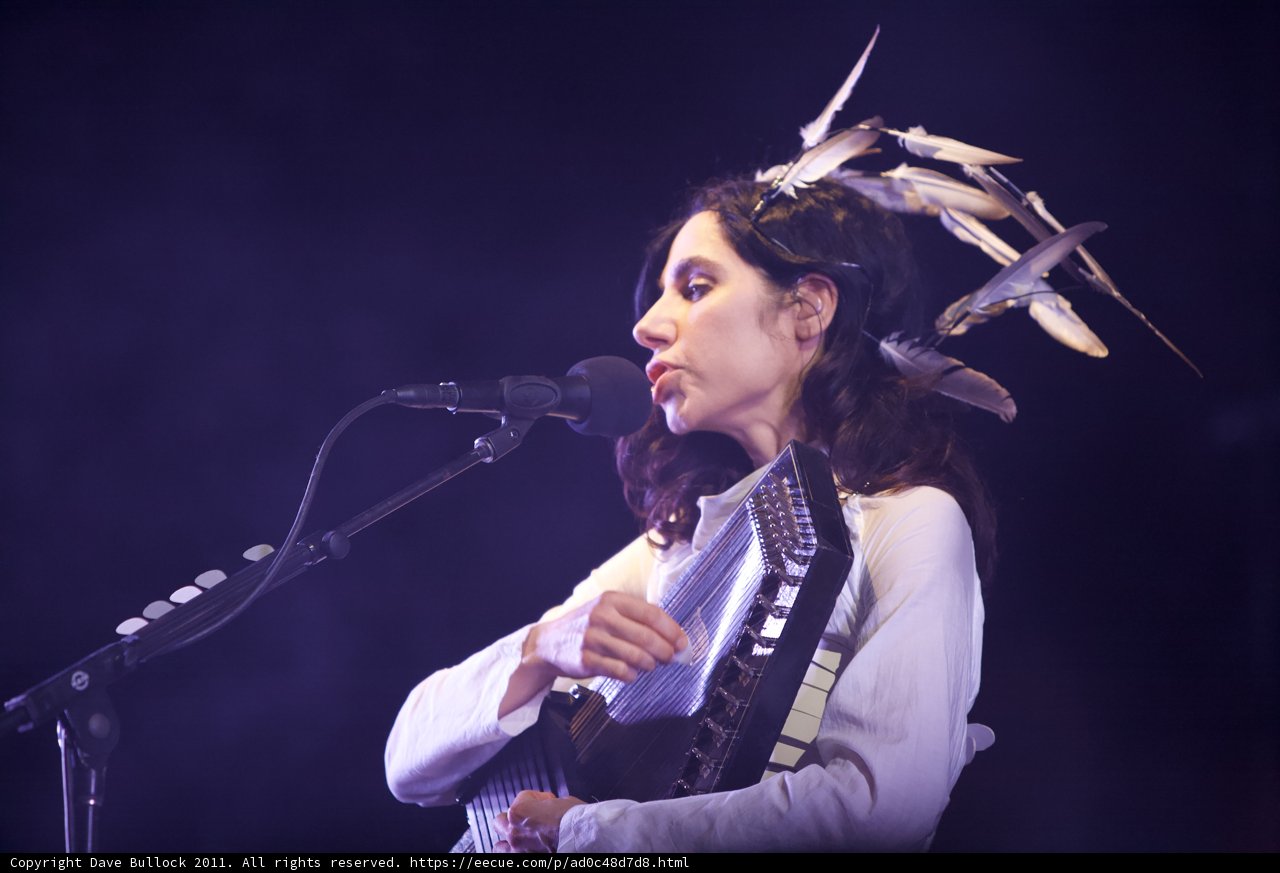Feathered Guitarist Takes the Stage