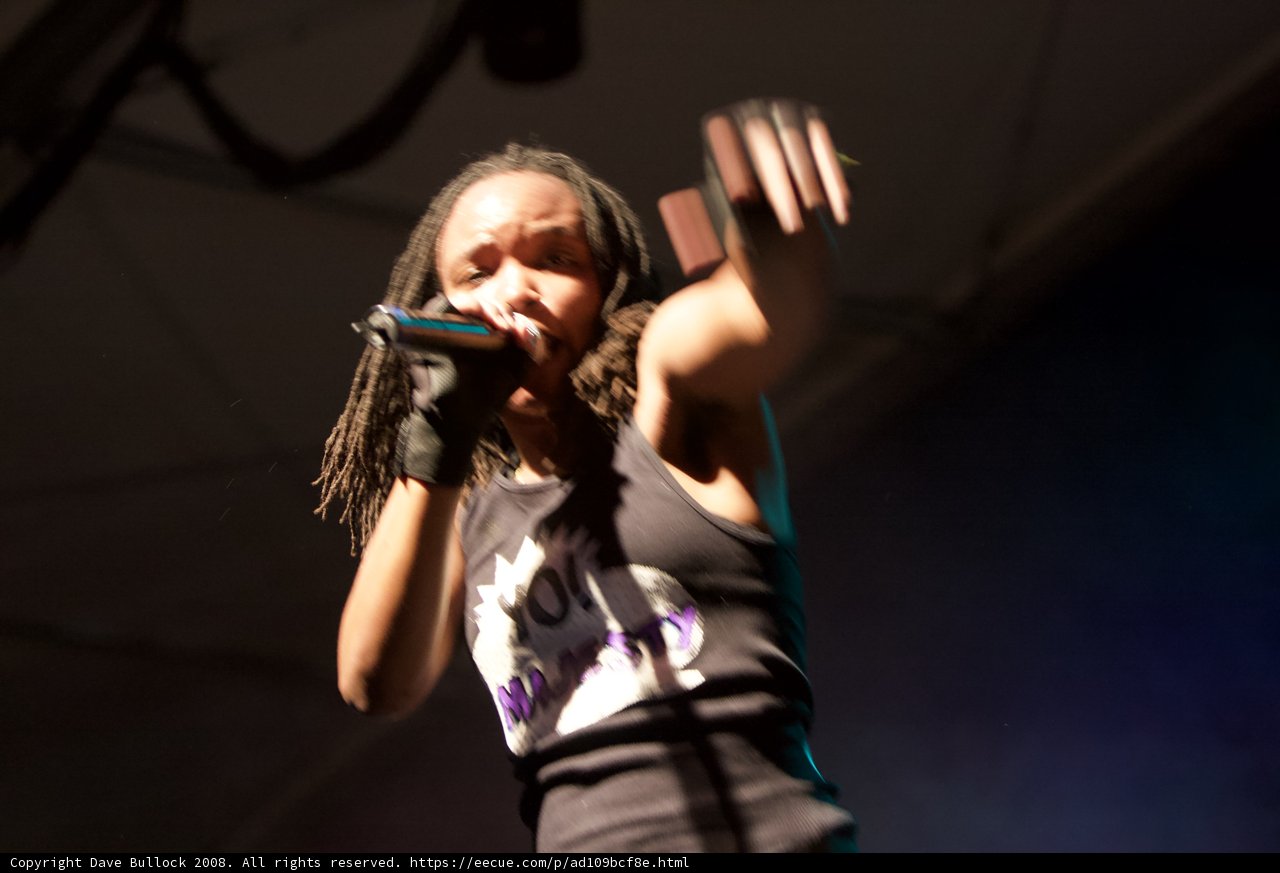 Coachella Singer Belting Out Powerful Vocals