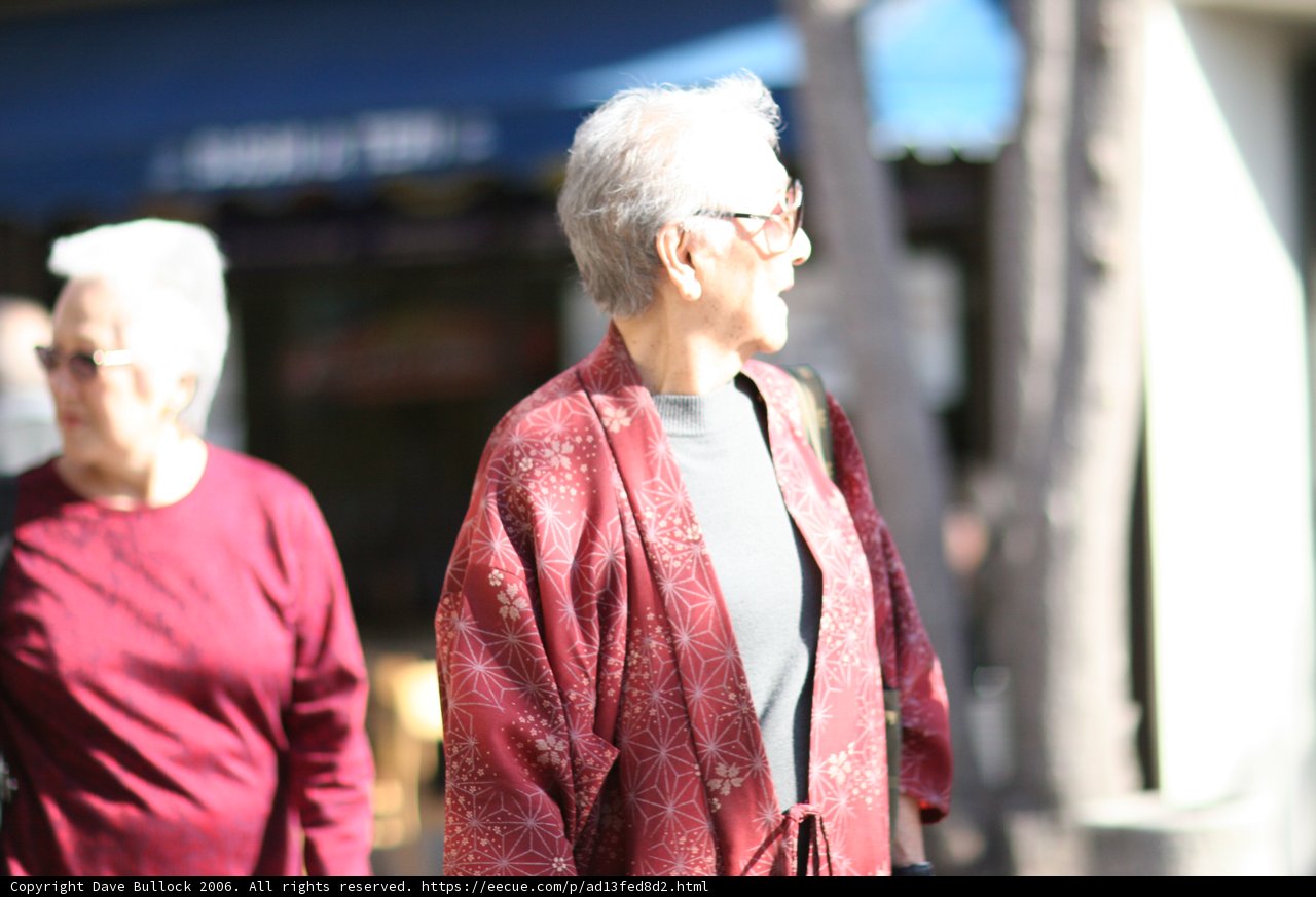 Two Elegantly Dressed Ladies Enjoy a Stroll