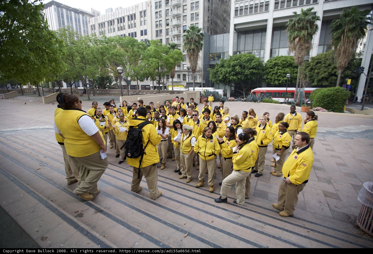 Yellow Jackets on the Sidewalk