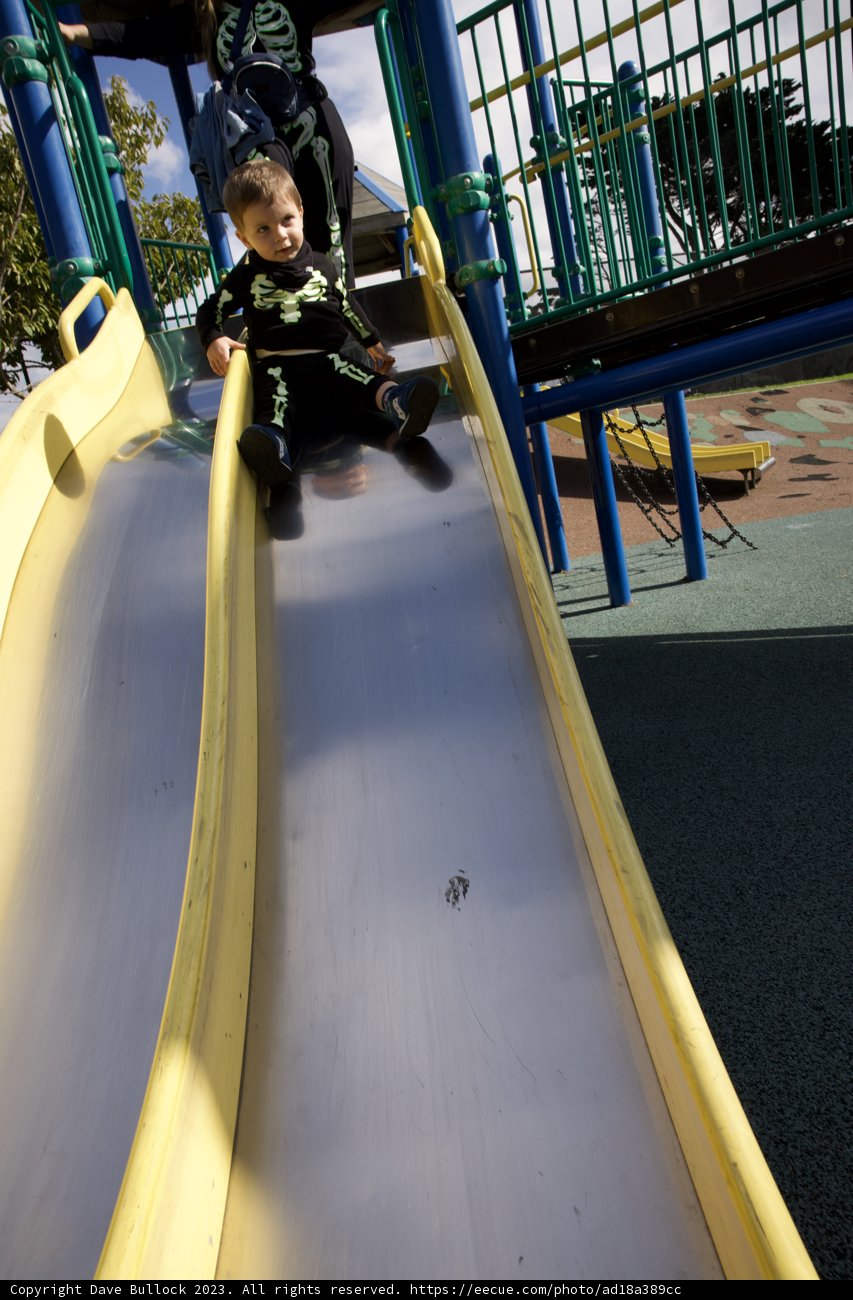 Thrills in the Park: Wesley's Playtime Adventure
