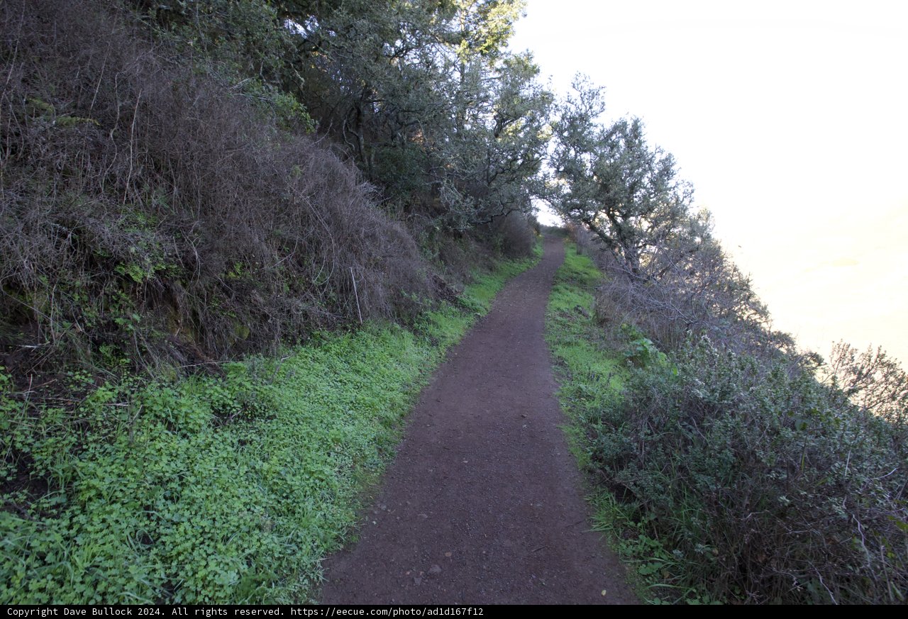 Tranquil Trek Through Nature